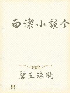 白洁小说全文
