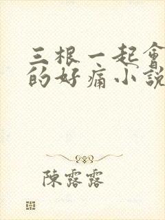 三根一起会坏掉的好痛小说