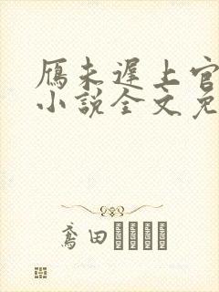 雁未迟上官穿越小说全文免费阅读