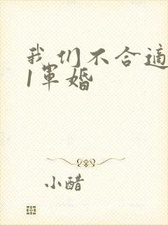 我们不合适1v1军婚