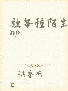 被各种陌生人 np