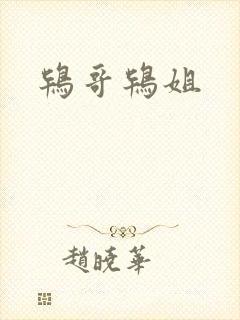 鸨哥鸨姐