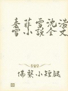 秦菲雪沈浩秦菲雪小说全文免费阅读求书