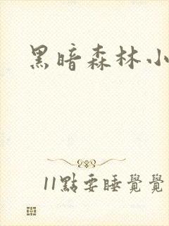黑暗森林小说
