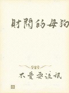 财阀的母狗们