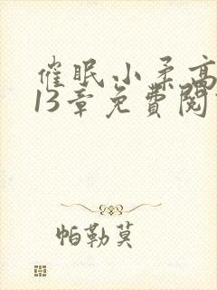 催眠小柔高达第13章免费阅读