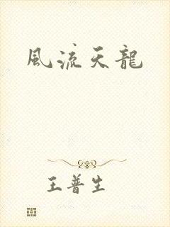 风流天龙