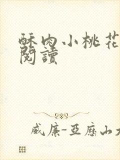 酥肉小桃花全文阅读