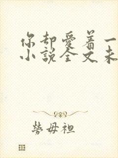 你却爱着一个他小说全文未删减免费