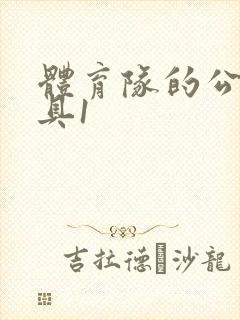 体育队的公用玩具1