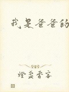 我是爸爸的玩具