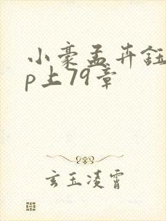 小豪孟卉钰慧三p上79章