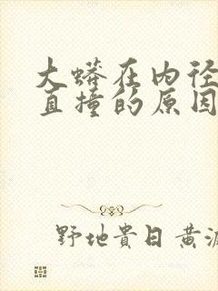 大蟒在内径横冲直撞的原因