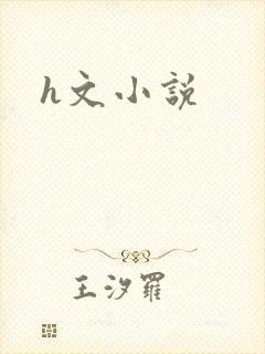 h文小说