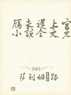 雁未迟上官穿越小说全文免费阅读