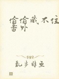 偷偷藏不住新婚番外