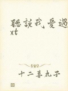 听说我爱过你txt