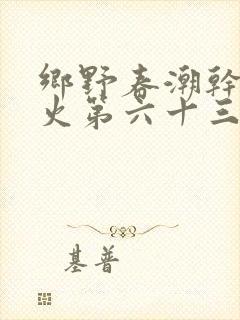 乡野春潮干柴烈火第六十三章