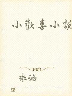 小欢喜小说