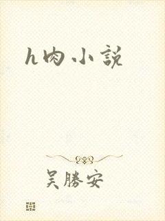h肉小说