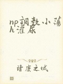 np调教小荡货h灌尿