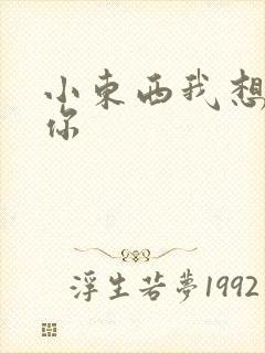 小东西我想弄坏你