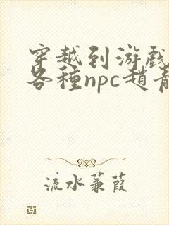 穿越到游戏里和各种npc赵青蔓