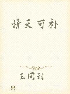 情天可补