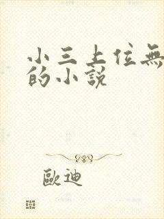 小三上位无三观的小说