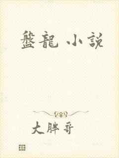 盘龙 小说