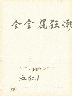 全金属狂潮小说