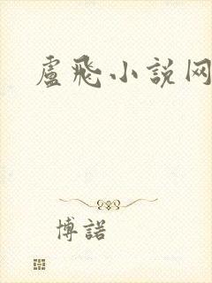 卢飞小说网