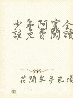 少年阿宾全文小说免费阅读笔趣阁