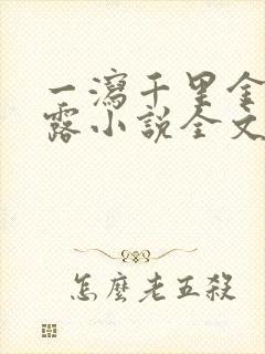 一泻千里金银花露小说全文免费阅读