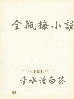 金瓶梅小说
