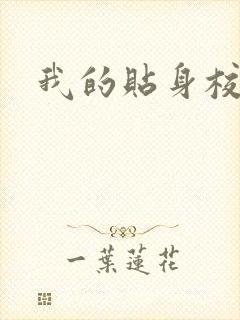 我的贴身校花