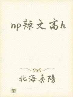 np辣文高h