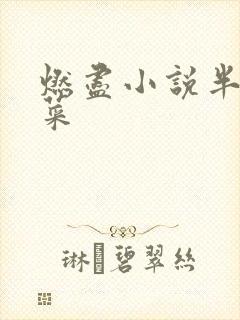 燃尽小说半截白菜