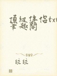 顶级伴侣txt笔趣阁