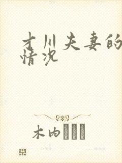 才川夫妻的恋爱情况