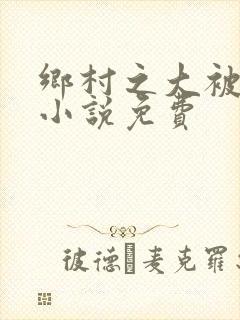 乡村之大被同眠小说免费