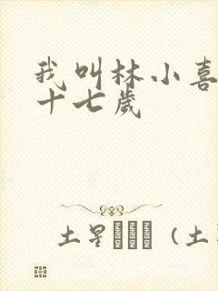 我叫林小喜今年十七岁