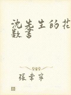 沈先生的花式调数书