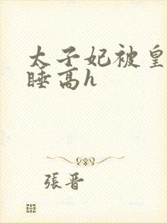 太子妃被皇上强睡高h