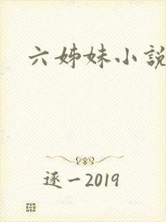 六姊妹小说