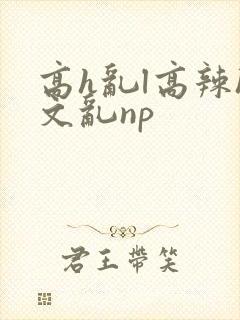 高h乱l高辣h文乱np