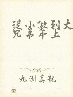 从小做到大骨科兄弟年上