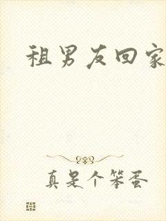 租男友回家过年