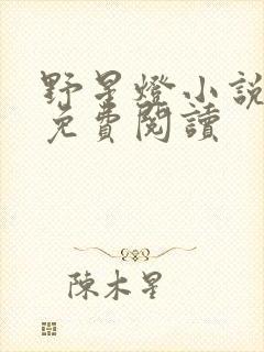 野星灯小说全文免费阅读