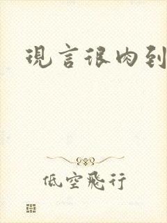 现言很肉到处做